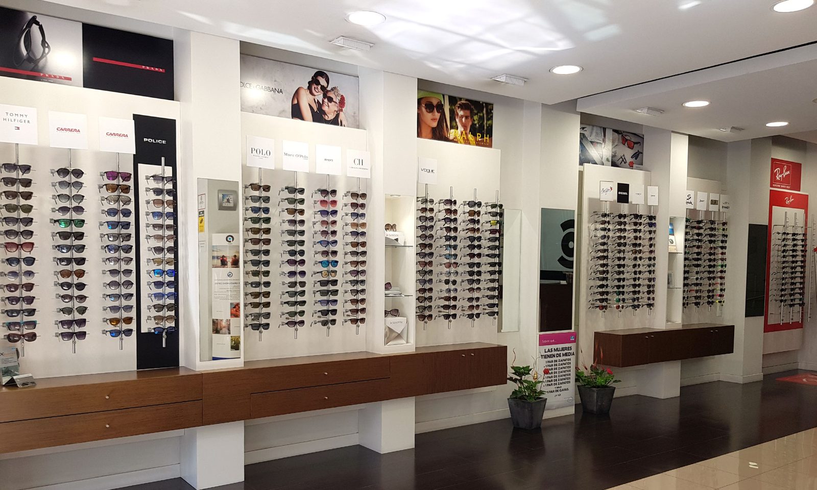Monturas y gafas de sol de distintas marcas en Centro Óptico Luy